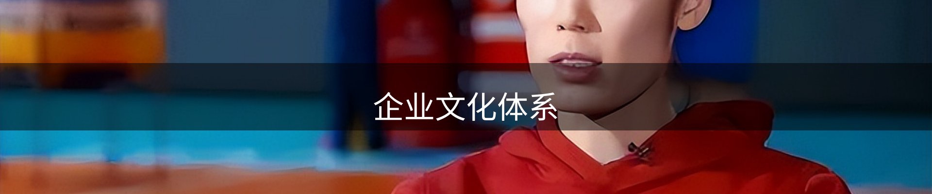 企业文化体系
