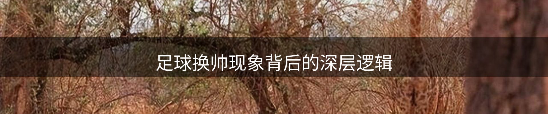 热点集萃